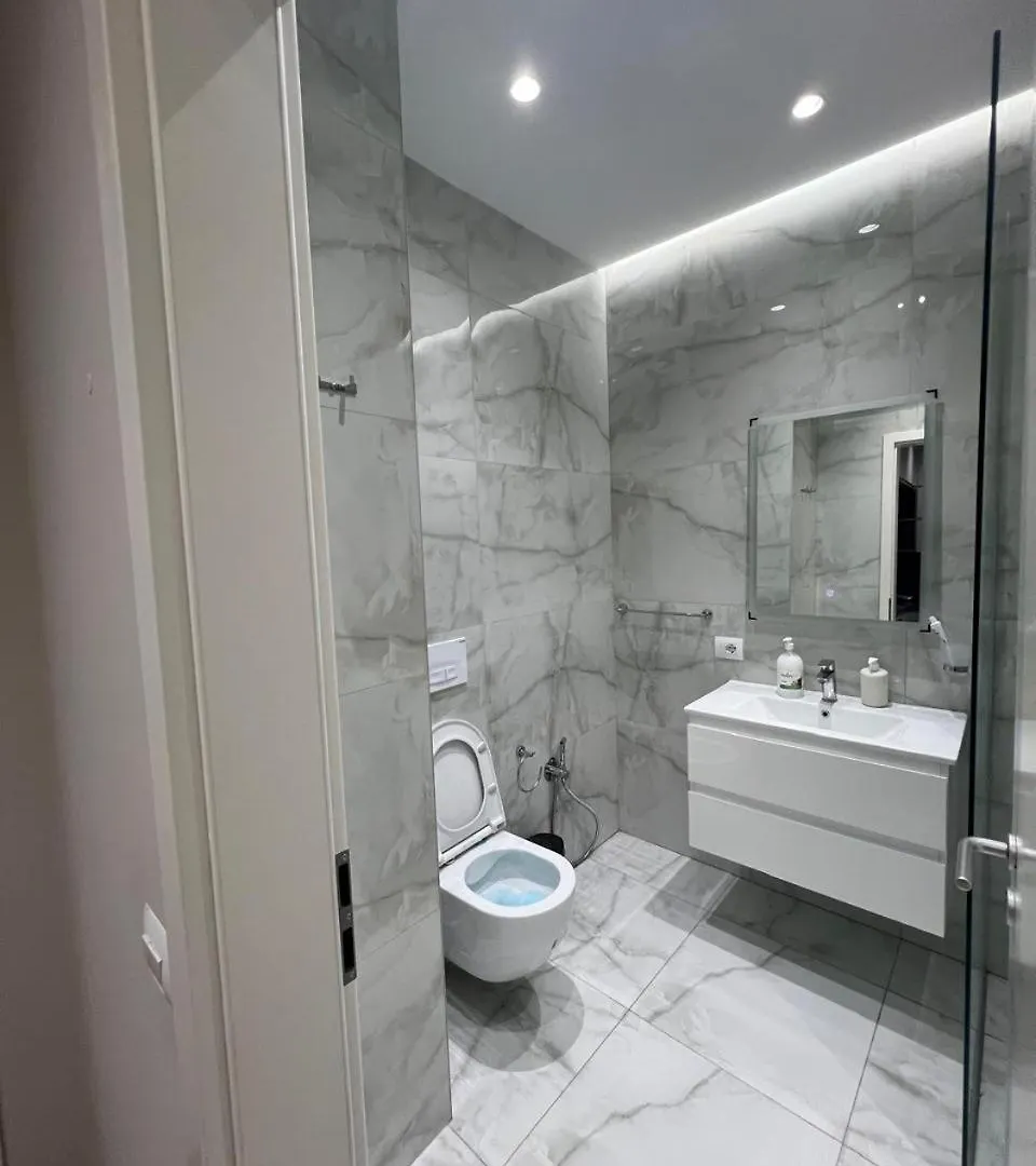 Shehu Apartment Tirana 0*,